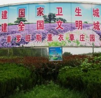 參與生活垃圾精品网站999www 創（chuàng）建文明襄陽