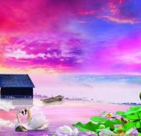 垃圾精品网站999www回（huí）收標準