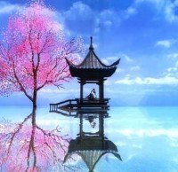 國際垃圾精品网站999www回收現狀