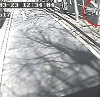 煙頭扔進垃圾桶導致起火，公交車司機見義勇為（wéi）獲點讚