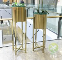 商場電鍍土（tǔ）豪金（jīn）不鏽鋼花架