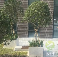 戶外物業小區不鏽鋼樹池