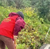 多举措（cuò）推进生活垃圾分类工作走深走实