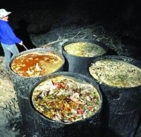 生活垃（lā）圾精品网站999www知識“地溝油（yóu）”最後都（dōu）去了哪裏呢（ne）？